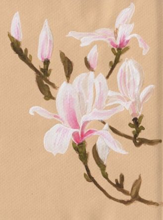 magnolias2